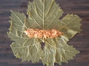 Dolma / Sarma - Rezept - Bild Nr. 889