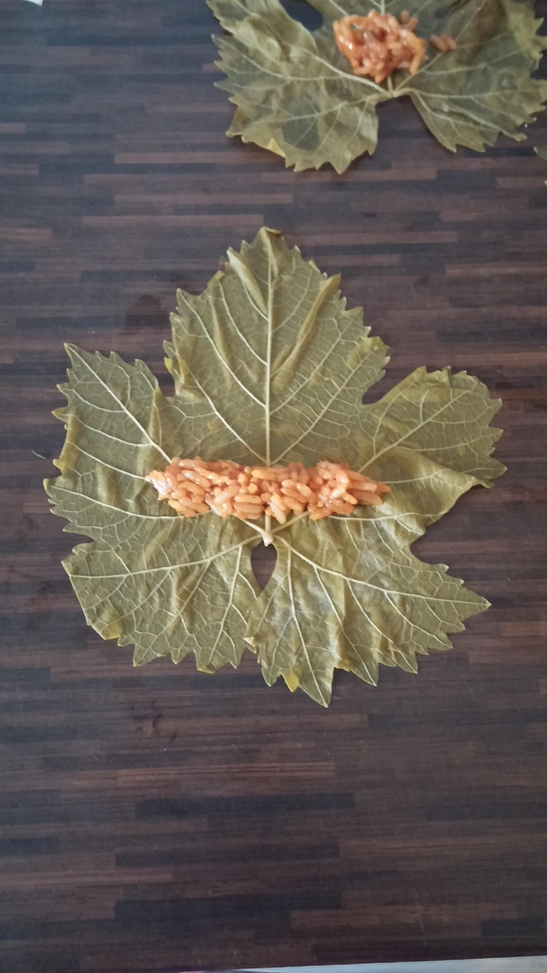 Bilder für Dolma / Sarma Rezept