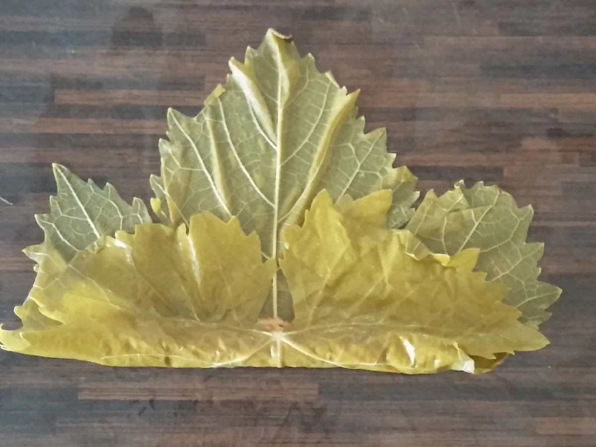 Rezept: Dolma / Sarma Bild Nr. 890 Dolma / Sarma - Rezept - Bild Nr. 890