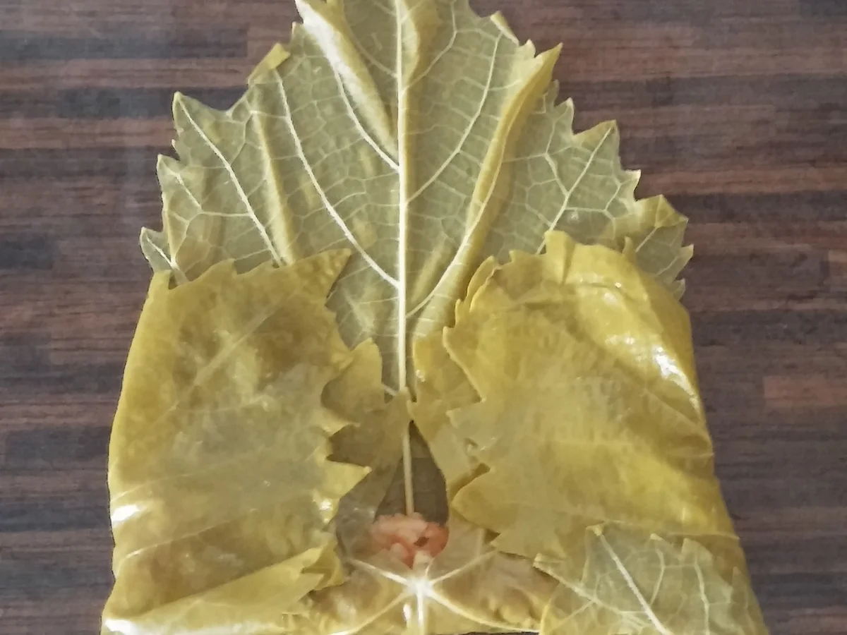 Rezept: Dolma / Sarma Bild Nr. 891 Dolma / Sarma - Rezept - Bild Nr. 891