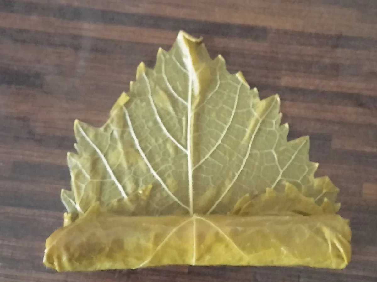 Rezept: Dolma / Sarma Bild Nr. 892 Dolma / Sarma - Rezept - Bild Nr. 892