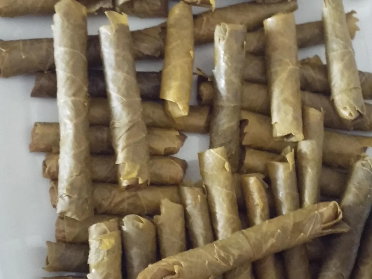 Rezept: Dolma / Sarma Bild Nr. 893 Dolma / Sarma - Rezept - Bild Nr. 893