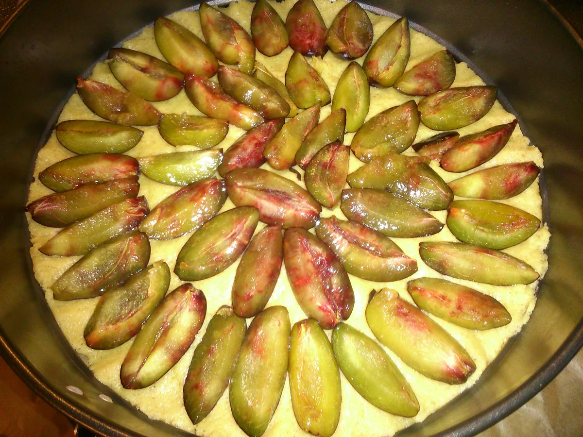 Rezept: Zwetschgen-Streusel-Kuchen Bild Nr. 889 Zwetschgen-Streusel-Kuchen - Rezept - Bild Nr. 889