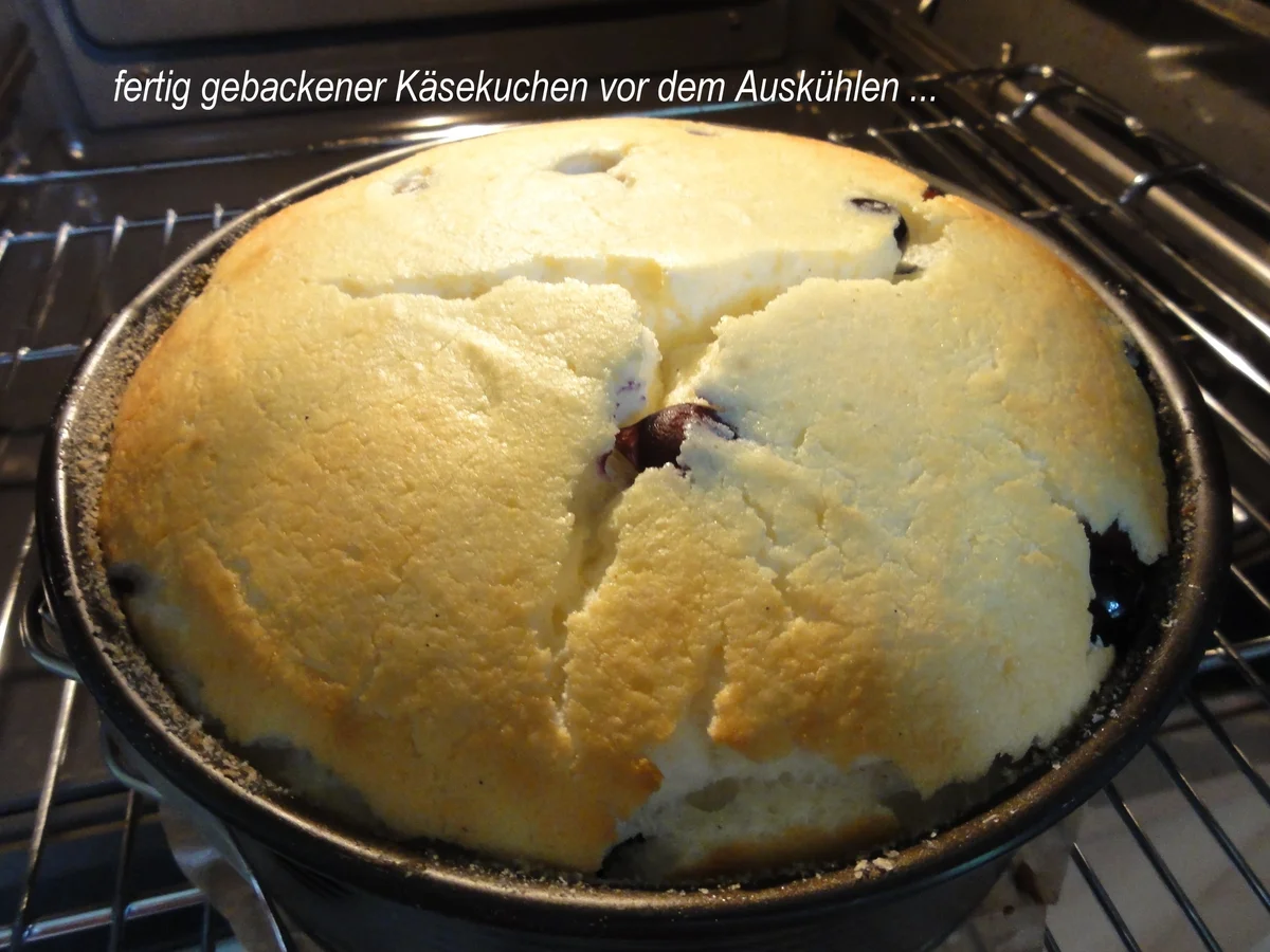 Rezept: KuchenZwerg: KÄSEKUCHEN mit Blaubeeren Bild Nr. 921 KuchenZwerg: KÄSEKUCHEN mit Blaubeeren - Rezept - Bild Nr. 921