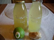 Rezept: Vorrat: Ingwersirup Bild Nr. 933 Vorrat: Ingwersirup - Rezept - Bild Nr. 933