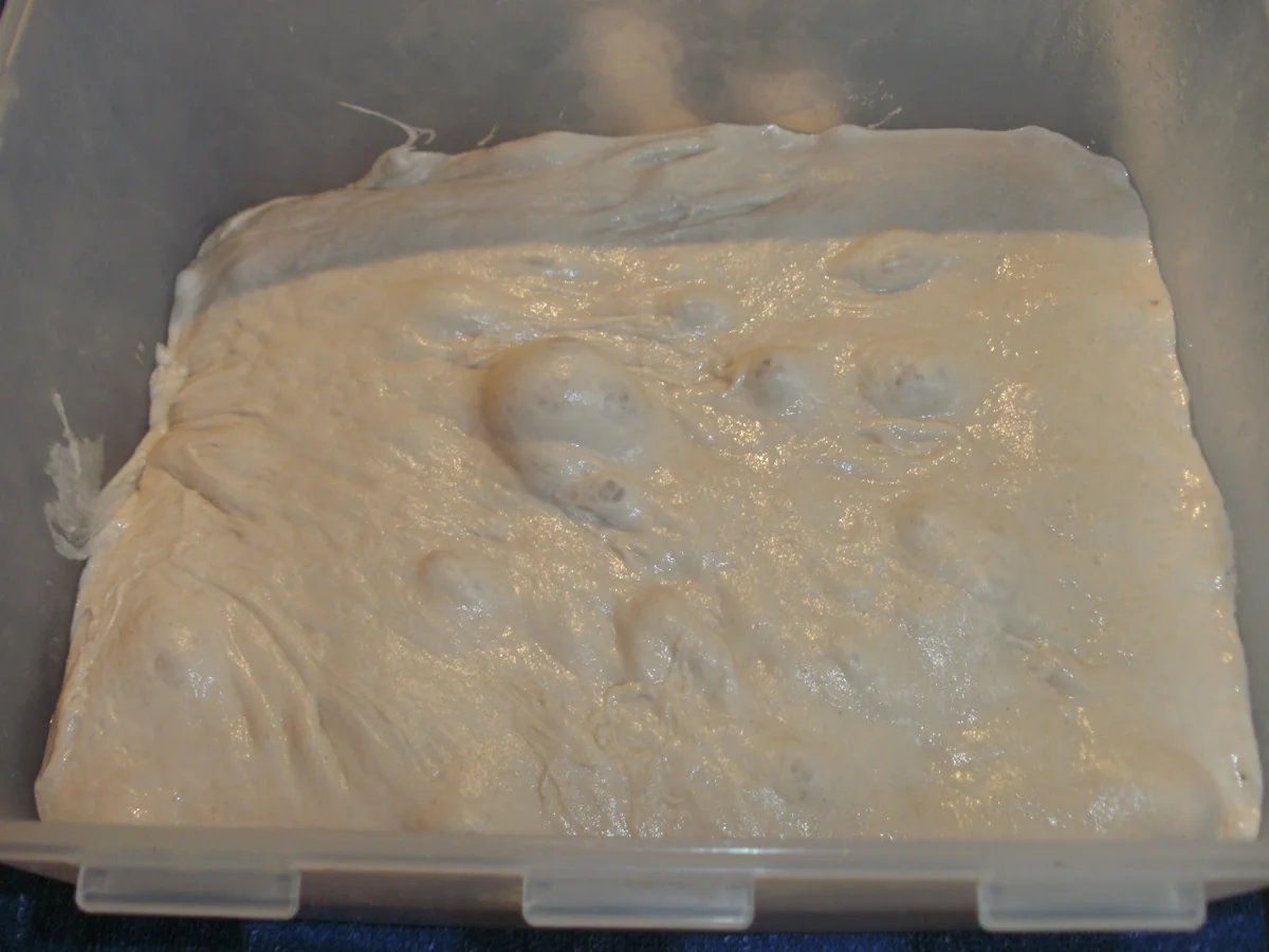 Ein Brotteig - viele Backideen - Rezept - Bild Nr. 950