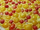 Rezept: Tomatenquiche Bild Nr. 959 Tomatenquiche - Rezept - Bild Nr. 959
