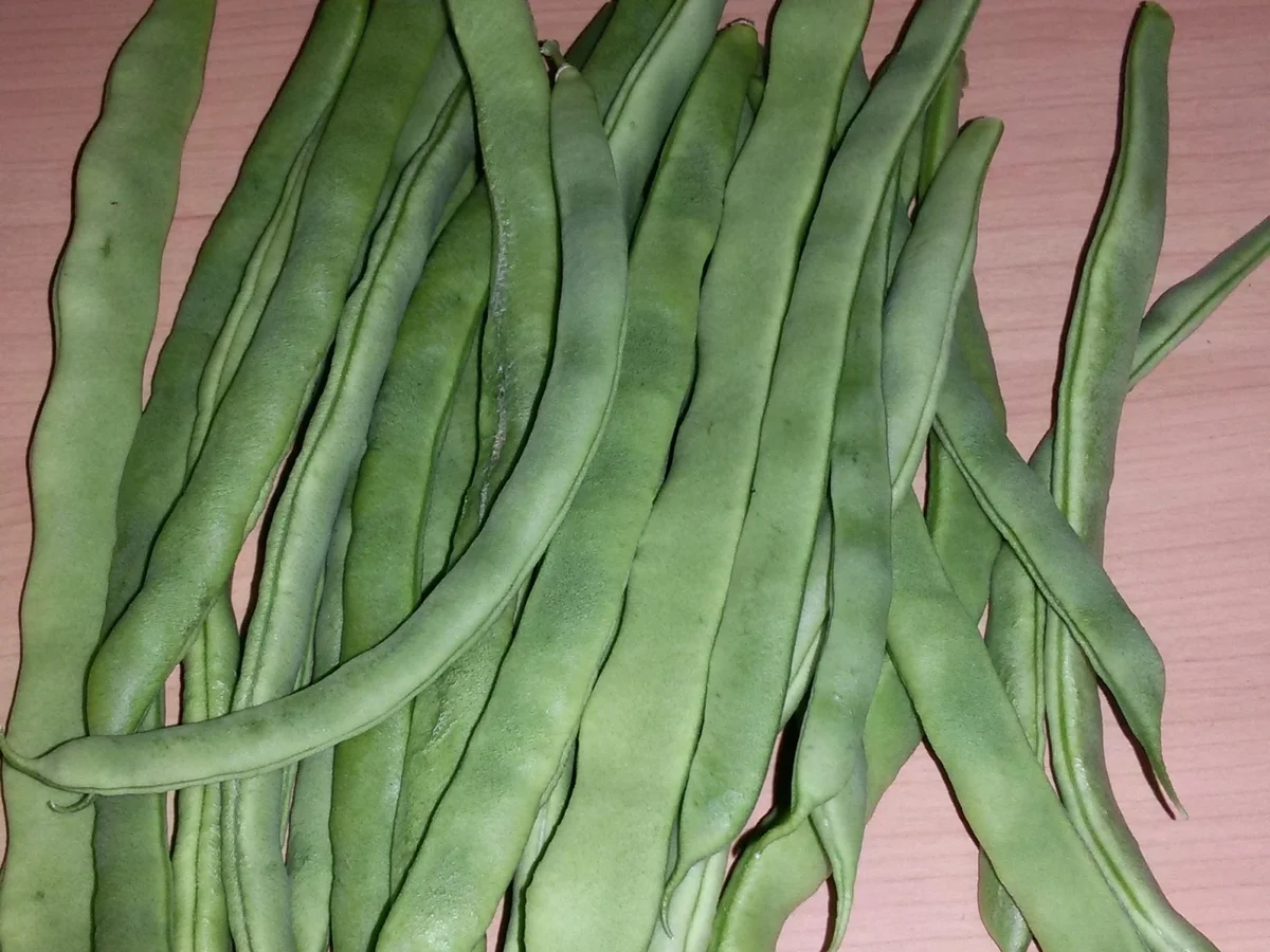 Rezept: Bohnen - Nudel - Topf Bild Nr. 957 Bohnen - Nudel - Topf - Rezept - Bild Nr. 957