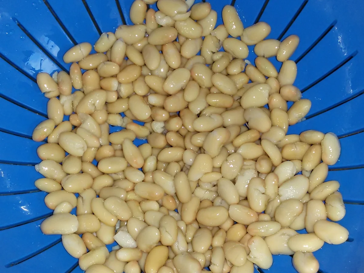 Rezept: Bohnen - Nudel - Topf Bild Nr. 959 Bohnen - Nudel - Topf - Rezept - Bild Nr. 959