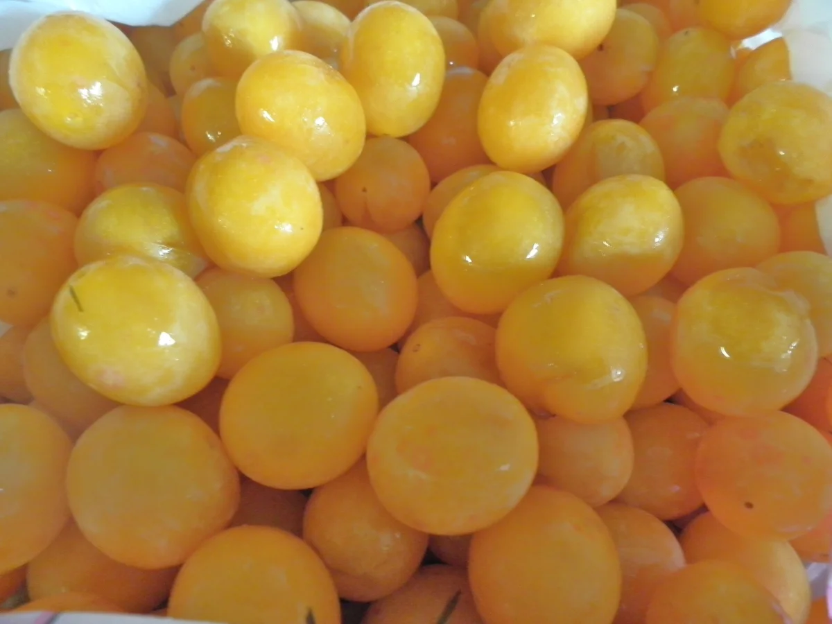 Mirabellen auf einem Bett von Vanillepudding .. zugedeckt mit knusprigen Zimtstreuseln - Rezept - Bild Nr. 1068