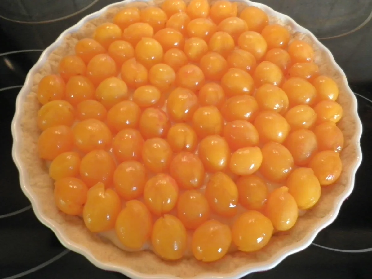 Mirabellen auf einem Bett von Vanillepudding .. zugedeckt mit knusprigen Zimtstreuseln - Rezept - Bild Nr. 1070