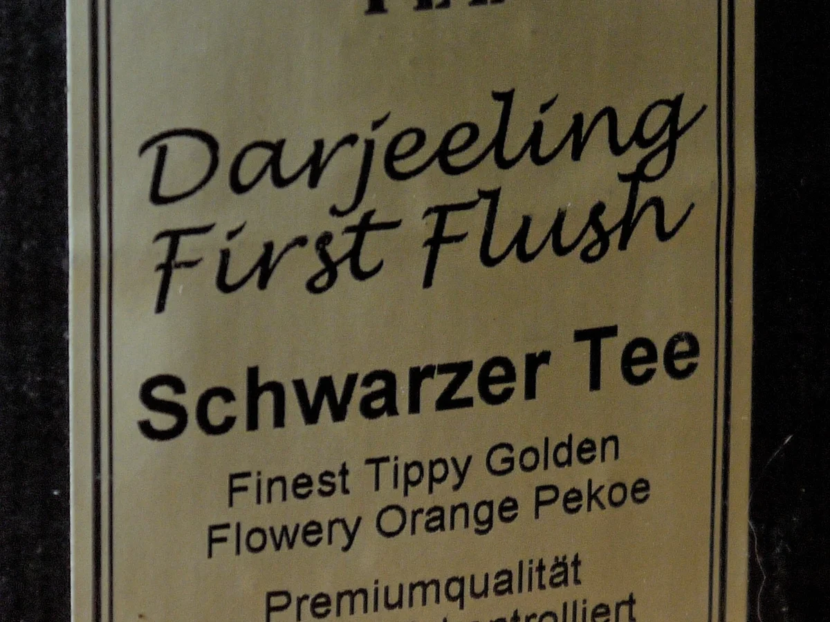 Joghurt-Darjeeling-Törtchen mit Heidelbeeren - Rezept - Bild Nr. 1062