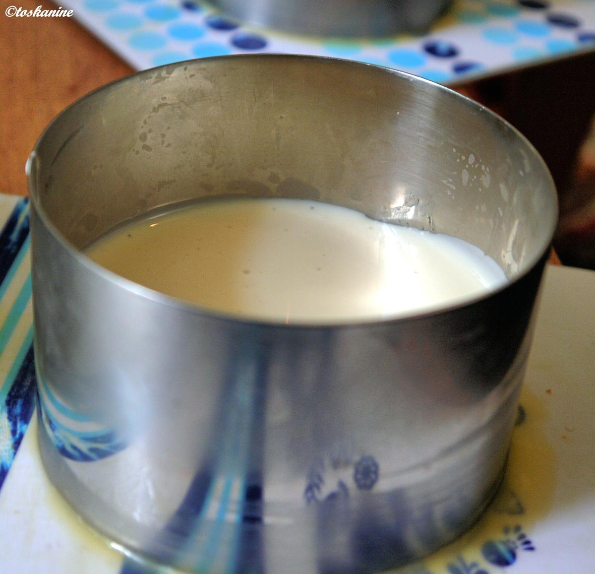 Joghurt-Darjeeling-Törtchen mit Heidelbeeren - Rezept - Bild Nr. 1065