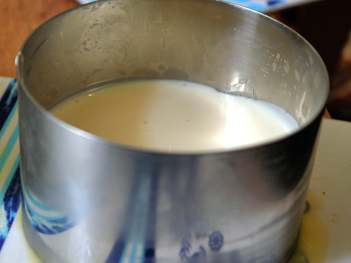 Joghurt-Darjeeling-Törtchen mit Heidelbeeren - Rezept - Bild Nr. 1065