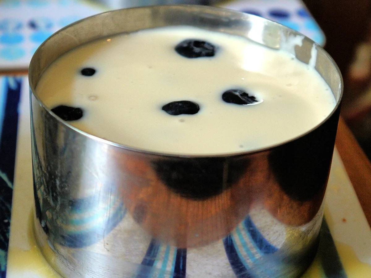 Joghurt-Darjeeling-Törtchen mit Heidelbeeren - Rezept - Bild Nr. 1067