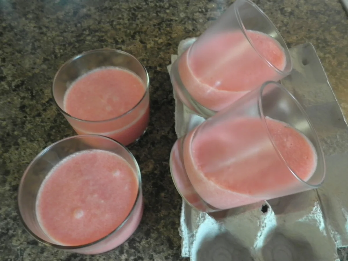 Wassermelone & Prosecco ... eine sommerliche Liaison ... ;-) - Rezept - Bild Nr. 1070