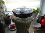 Rezept: feines Zuchinisüppchen Bild Nr. 1067 feines Zuchinisüppchen - Rezept - Bild Nr. 1067