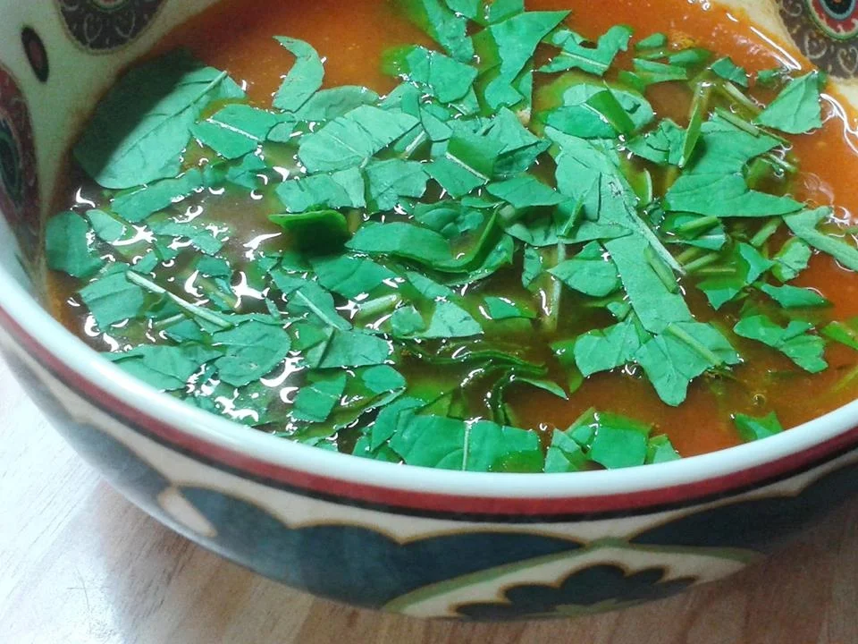 Gartentomaten-Suppe - Rezept - Bild Nr. 1067