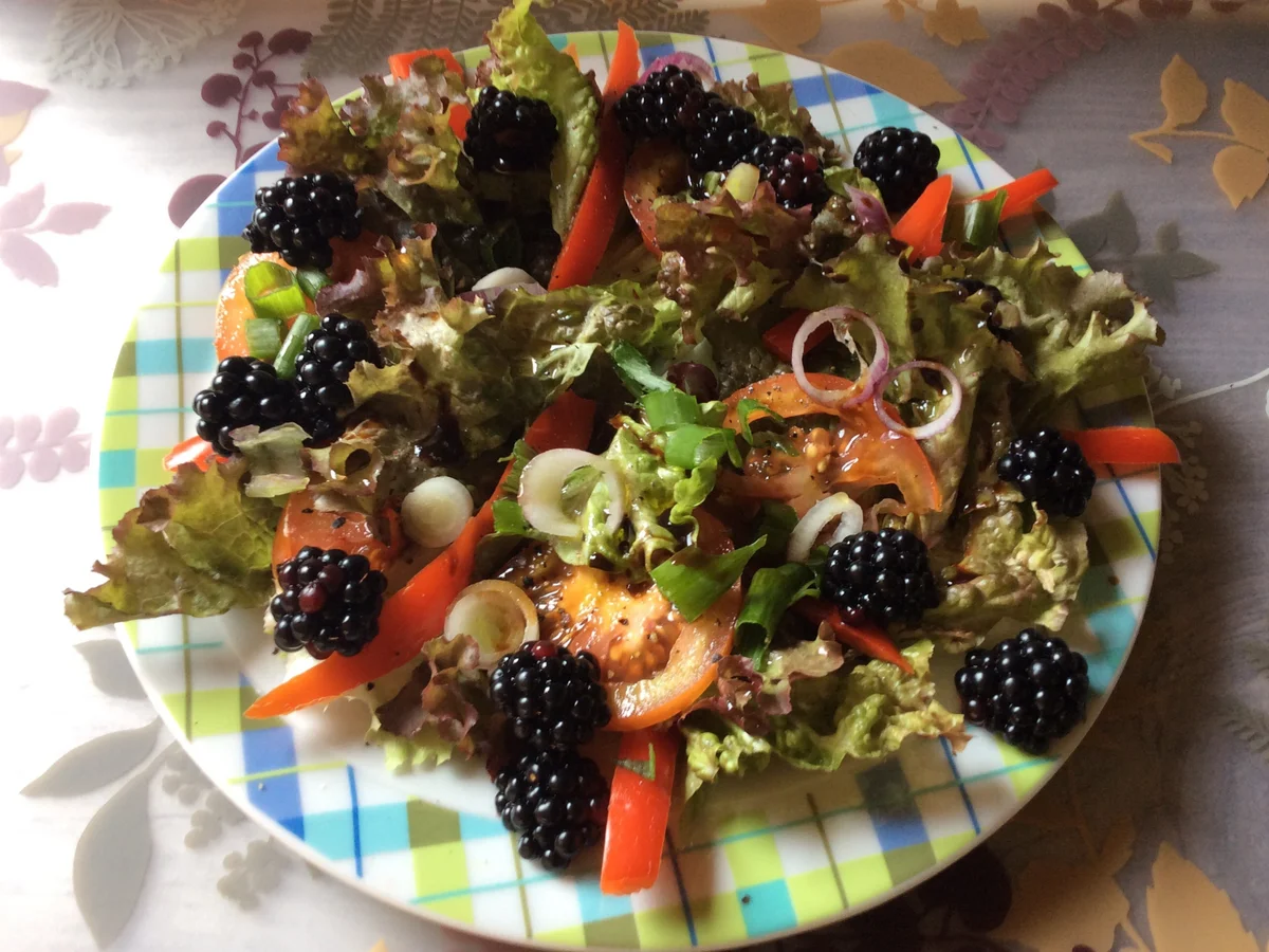 Rezept: Gebackene Feigen mit Frischkäse auf gemischten Salat Bild Nr. 1071 Gebackene Feigen mit Frischkäse auf gemischten Salat - Rezept - Bild Nr. 1071