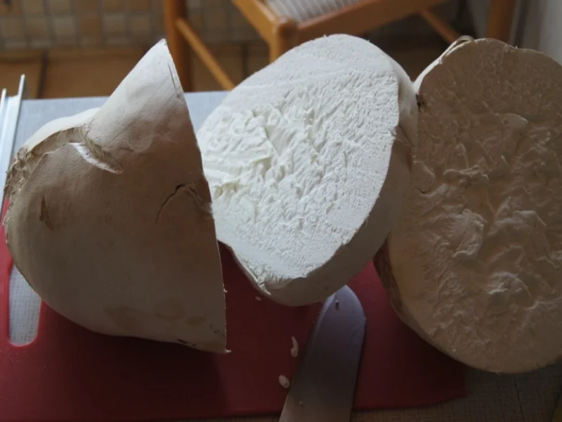 Riesenbovistschnitzel - Rezept - Bild Nr. 1079