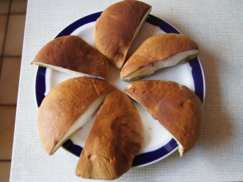 Rezept: Steinpilzschnitzel Bild Nr. 1075 Steinpilzschnitzel - Rezept - Bild Nr. 1075