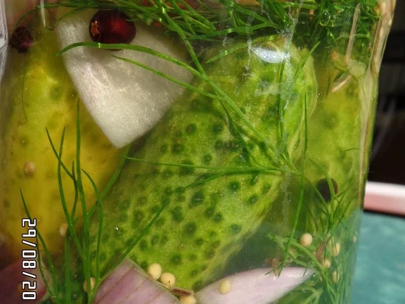 Essig-Gurken - Rezept - Bild Nr. 1076