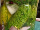 Essig-Gurken - Rezept - Bild Nr. 1076