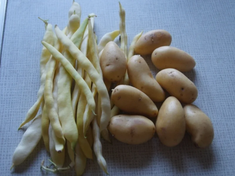 Rezept: Stangenbohnen-Kartoffelsuppe Bild Nr. 1082 Stangenbohnen-Kartoffelsuppe - Rezept - Bild Nr. 1082