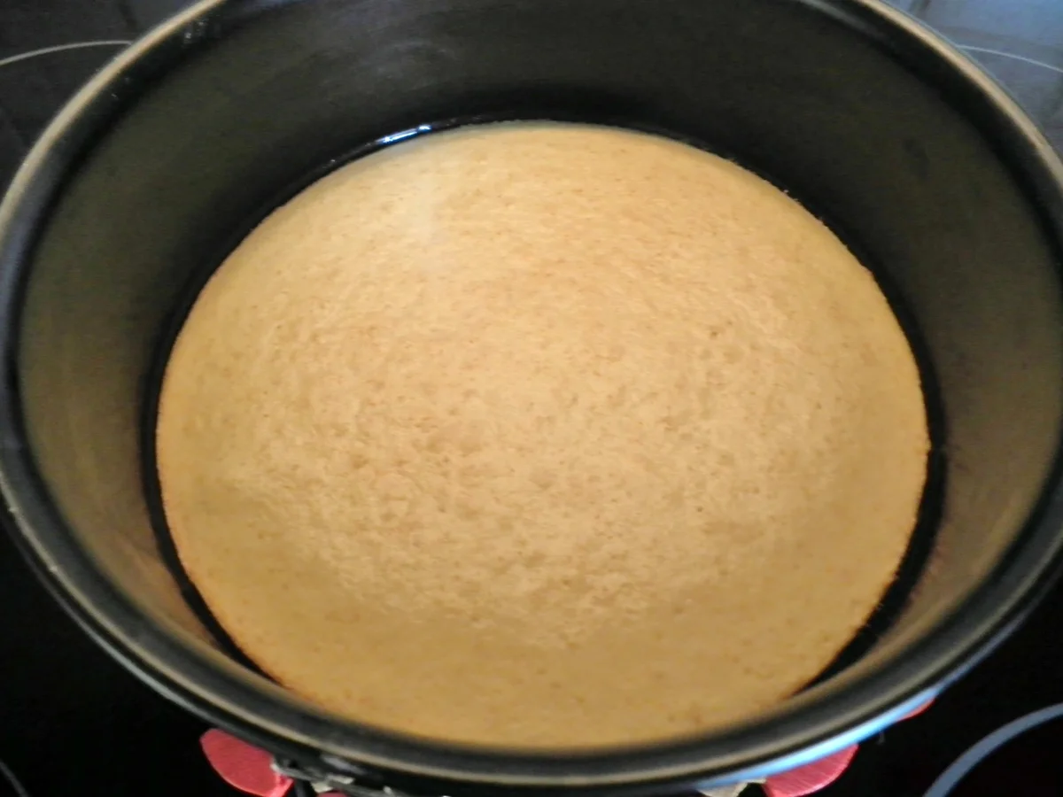 Brombeer - Schokoladen - Mascarpone - Torte - Rezept - Bild Nr. 1092