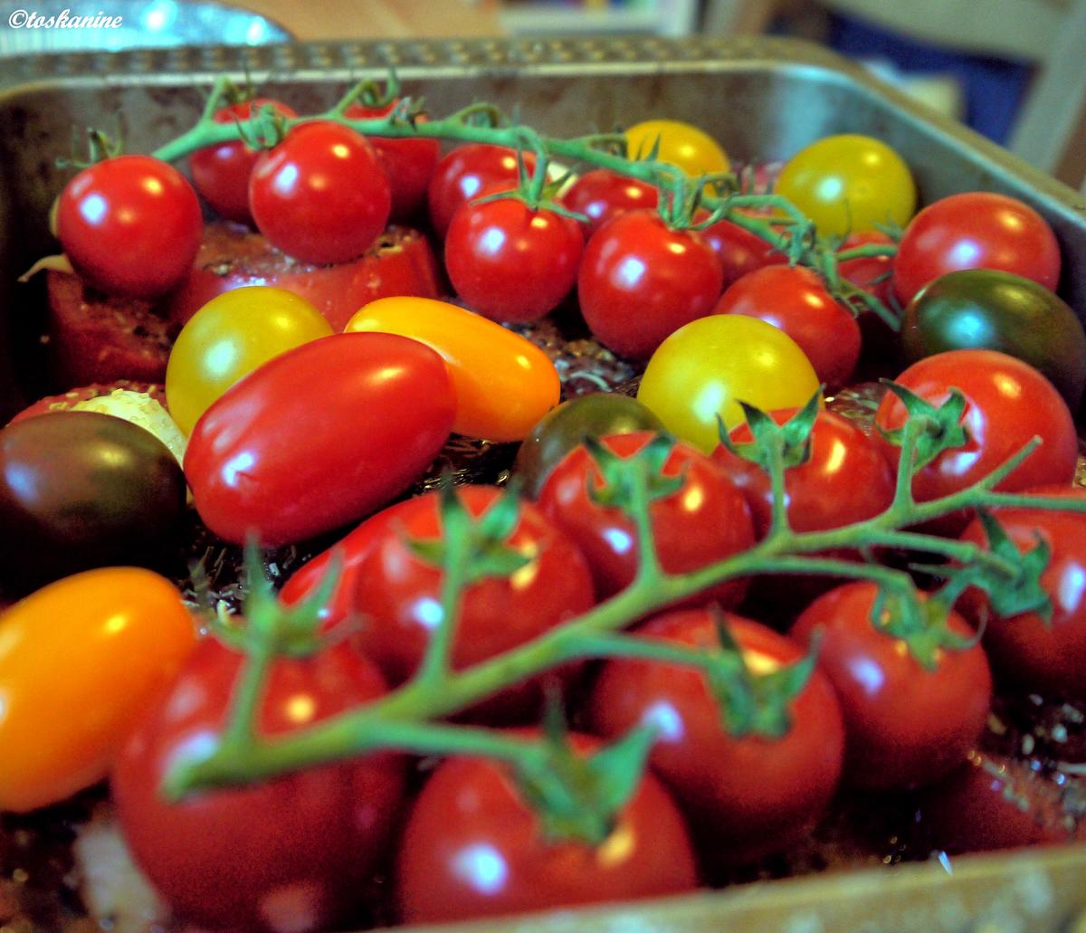 Koteletts auf geschmorten Tomaten - Rezept - Bild Nr. 1137
