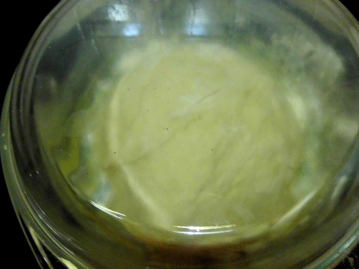 Rezept: dinkel-weizenbrot Bild Nr. 1115 dinkel-weizenbrot - Rezept - Bild Nr. 1115