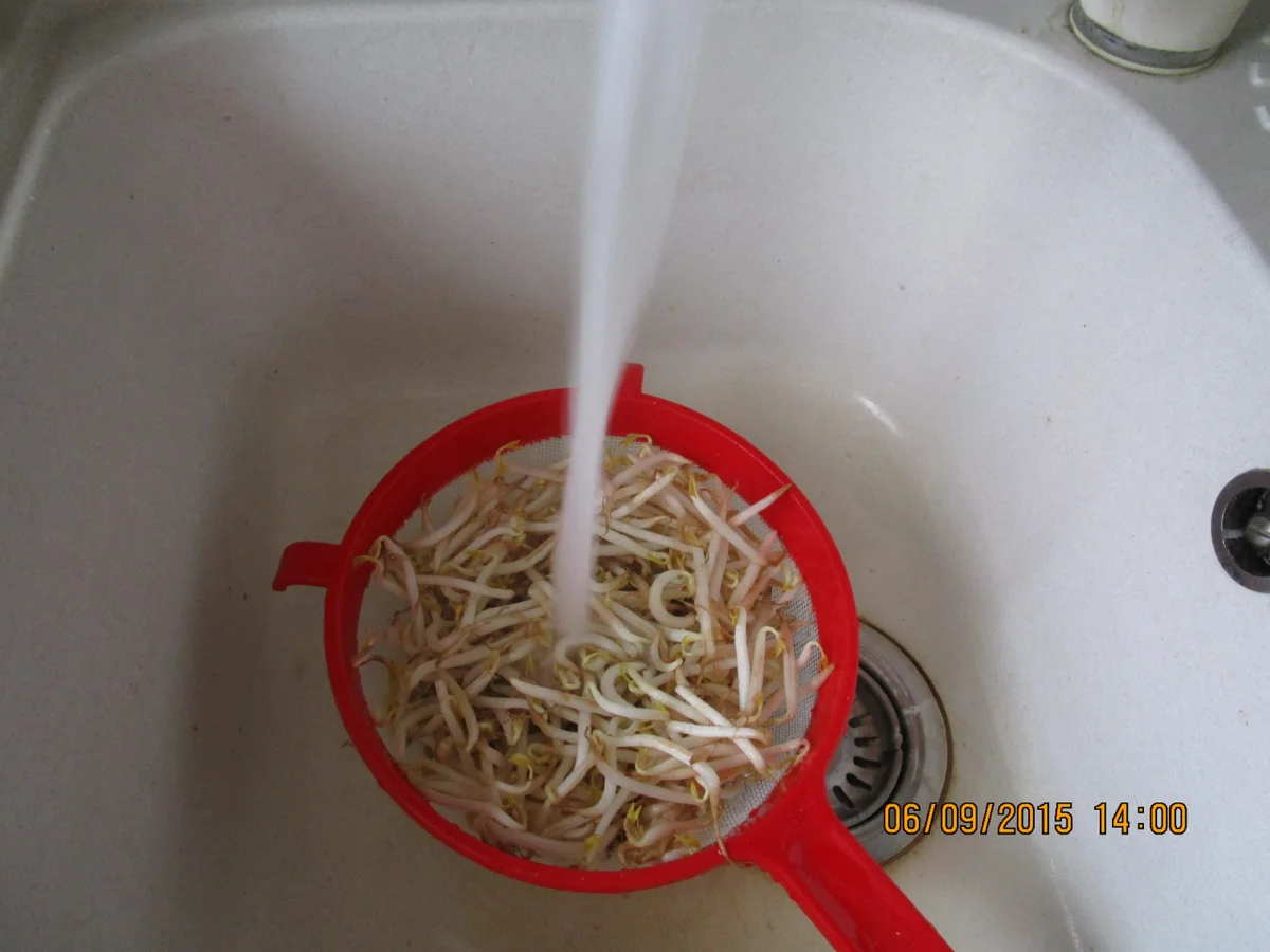 Rezept: Hähnchenbrustfilet asiatisch Bild Nr. 1152 Hähnchenbrustfilet asiatisch - Rezept - Bild Nr. 1152