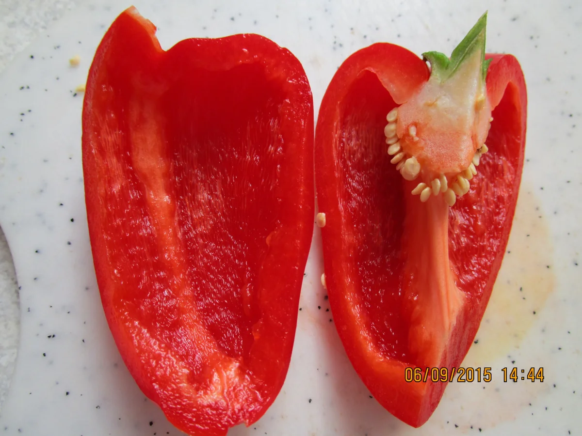 Rezept: Hähnchenbrustfilet asiatisch Bild Nr. 1157 Hähnchenbrustfilet asiatisch - Rezept - Bild Nr. 1157