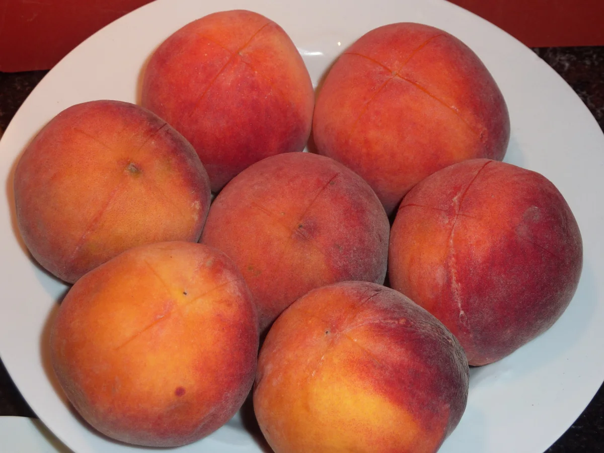 Grosi's  luftiger, saftiger Pfirsichkuchen - Rezept - Bild Nr. 1176