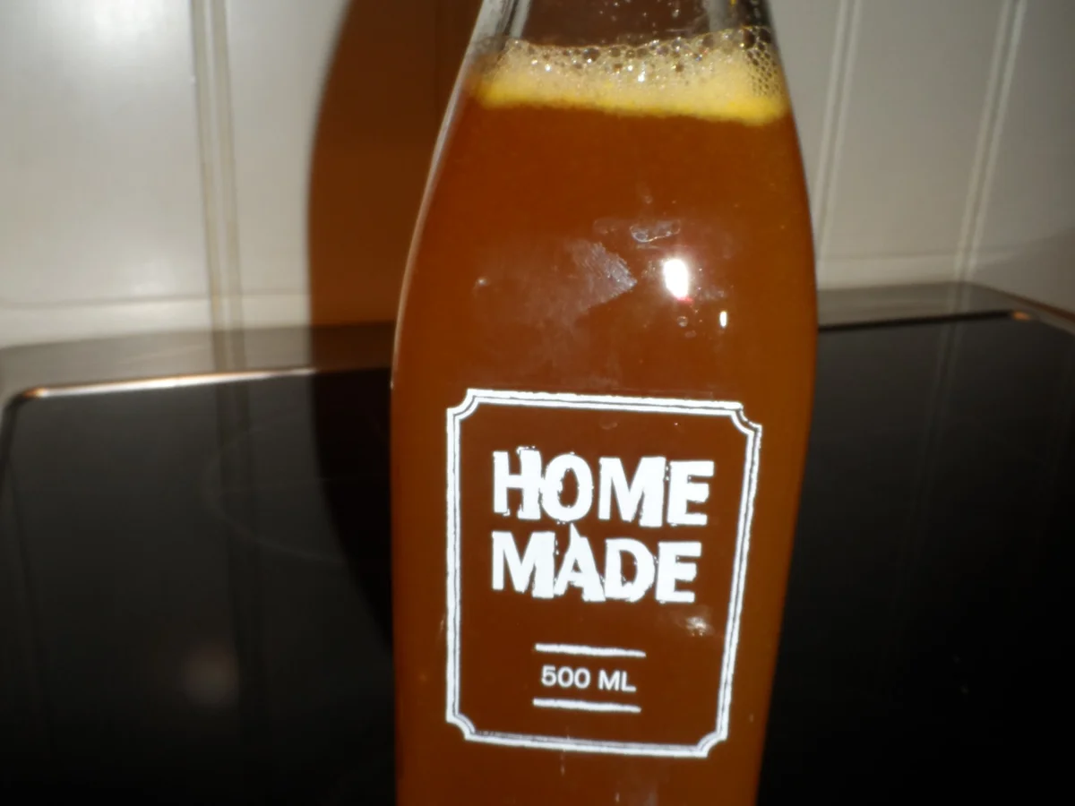 BiNe` S ORANGEN & ZITRONENSIRUP - Rezept - Bild Nr. 1216