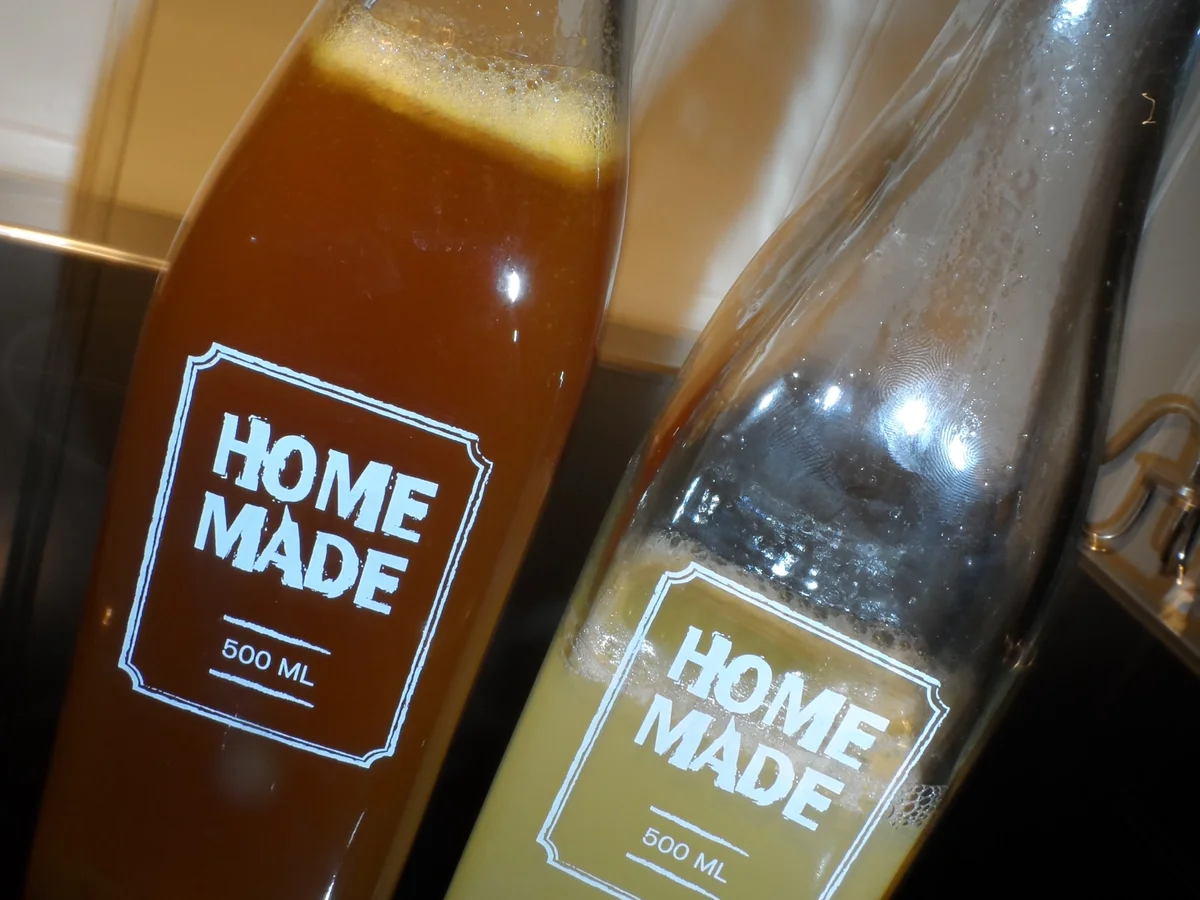 BiNe` S ORANGEN & ZITRONENSIRUP - Rezept - Bild Nr. 1217