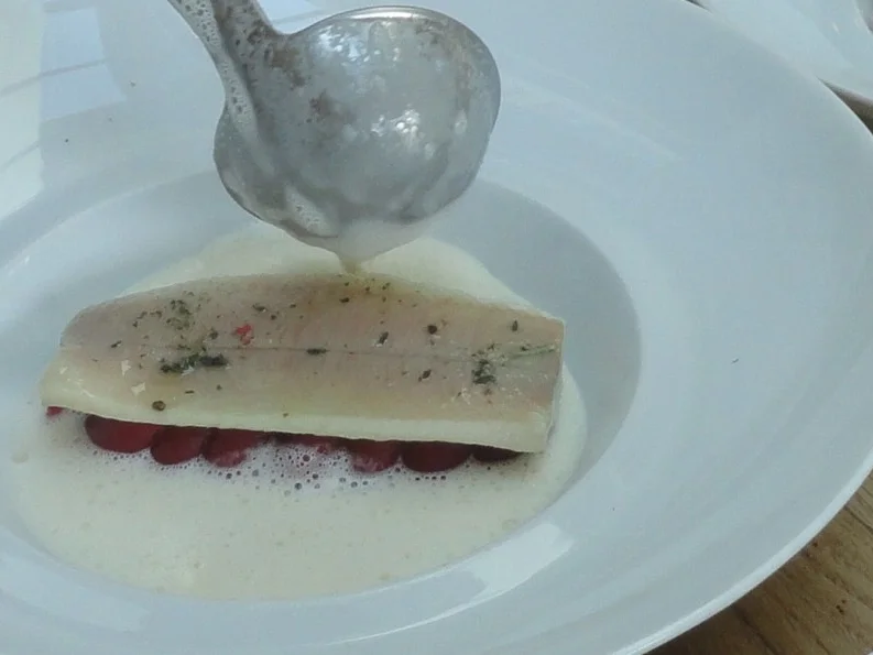 Rezept: Saiblings Filet an Creme Mousseline Bild Nr. 3174 Saiblings Filet an Creme Mousseline - Rezept - Bild Nr. 3174