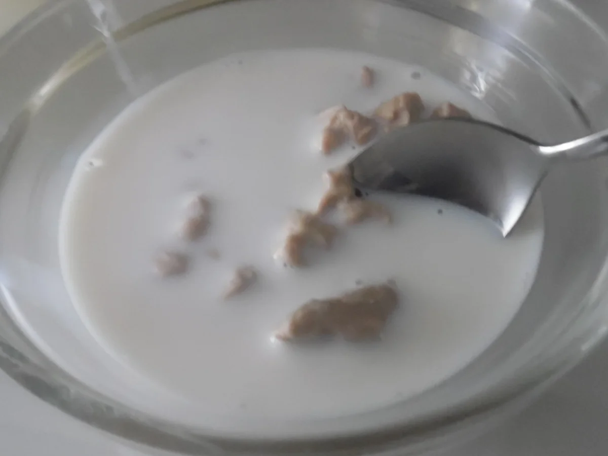 Ensaimadas - Rezept - Bild Nr. 1324