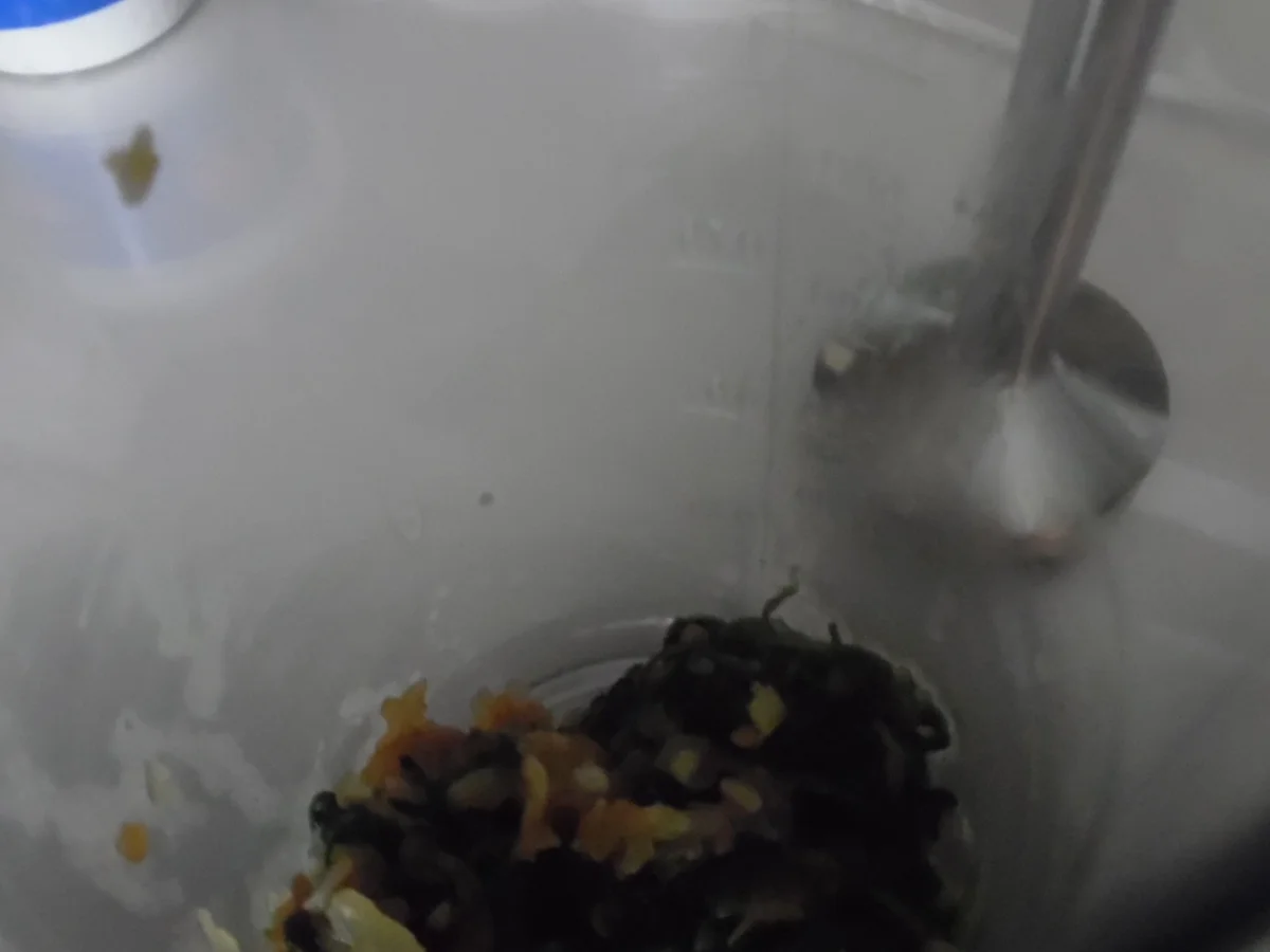 Rezept: "Pasta-Bonbons" mit Spinat-Ricotta-Füllung in Salbei-Butter Bild Nr. 1319 "Pasta-Bonbons" mit Spinat-Ricotta-Füllung in Salbei-Butter - Rezept - Bild Nr. 1319