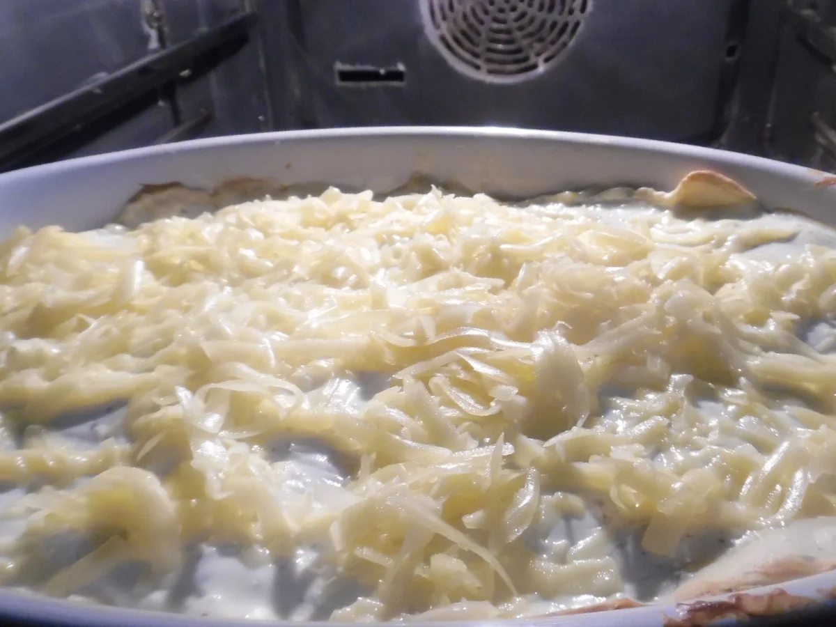 Thunfisch-Lasagne - Rezept - Bild Nr. 1321