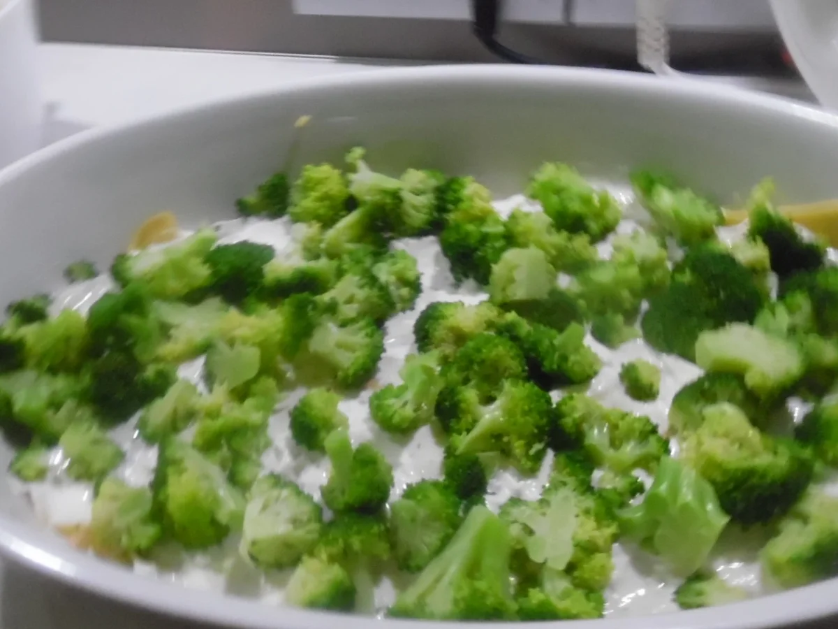 Thunfisch-Lasagne - Rezept - Bild Nr. 1323