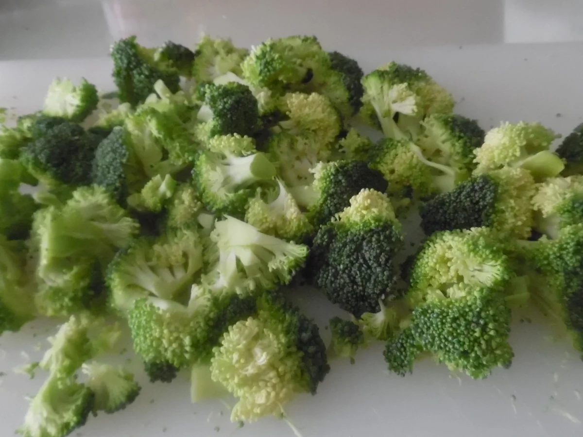 Thunfisch-Lasagne - Rezept - Bild Nr. 1342