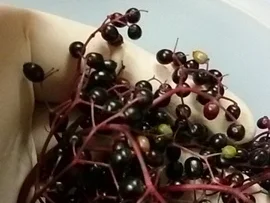 "Gesundheitswässerchen" - Rezept - Bild Nr. 1347