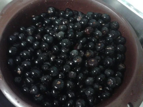 "Gesundheitswässerchen" - Rezept - Bild Nr. 1348