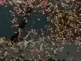 "Gesundheitswässerchen" - Rezept - Bild Nr. 1349