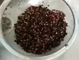 "Gesundheitswässerchen" - Rezept - Bild Nr. 1350