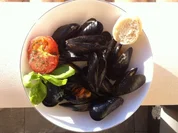 Miesmuscheln Mallorquin - Rezept - Bild Nr. 1354