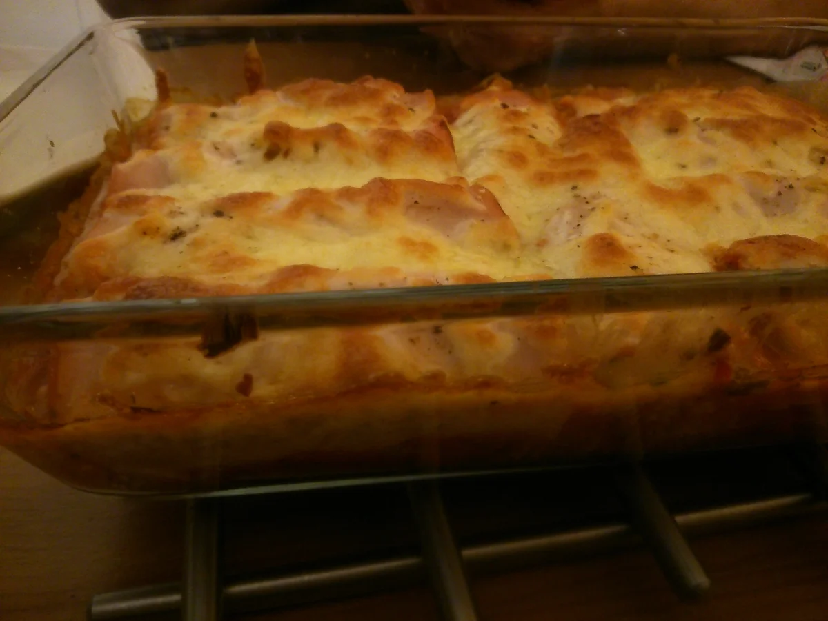 LOW CARB- Puten-Gemüse-Cannelloni - Rezept - Bild Nr. 1362