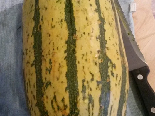 Rezept: Spaghetti Kürbis mit Bologneser Sauce Bild Nr. 1361 Spaghetti Kürbis mit Bologneser Sauce - Rezept - Bild Nr. 1361