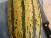 Spaghetti Kürbis mit Bologneser Sauce - Rezept - Bild Nr. 1361